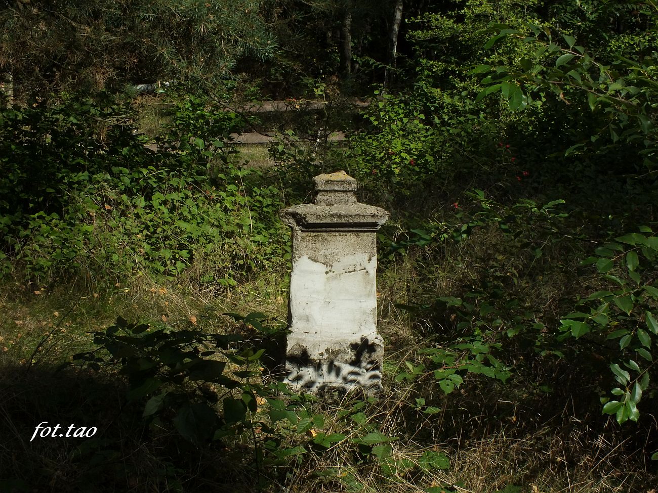 Cmentarz Ewangelicki w Oswce, wrzesie 2021 r.